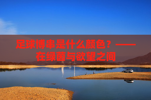 足球博串是什么颜色?——在绿茵与欲望之间