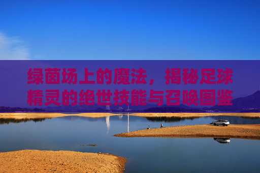 绿茵场上的魔法,揭秘足球精灵的绝世技能与召唤图鉴