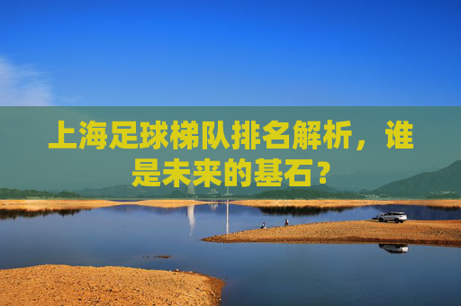 上海足球梯队排名解析,谁是未来的基石?