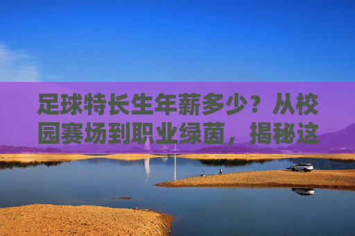 足球特长生年薪多少?从校园赛场到职业绿茵,揭秘这条路的真实收入与出路