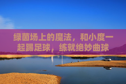 绿茵场上的魔法,和小度一起踢足球,练就绝妙曲球