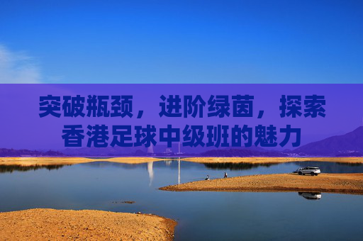 突破瓶颈,进阶绿茵,探索香港足球中级班的魅力