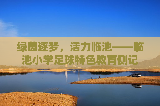 绿茵逐梦，活力临池——临池小学足球特色教育侧记