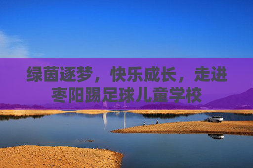 绿茵逐梦，快乐成长，走进枣阳踢足球儿童学校