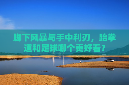 脚下风暴与手中利刃，跆拳道和足球哪个更好看？