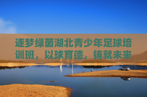 逐梦绿茵湖北青少年足球培训班,以球育德,铸就未来之星