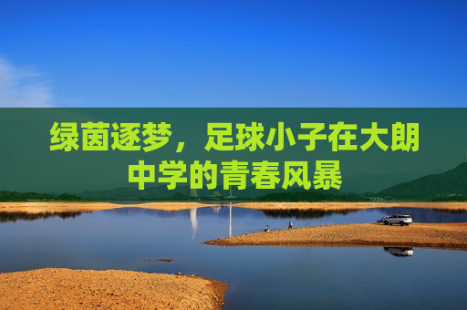 绿茵逐梦,足球小子在大朗中学的青春风暴