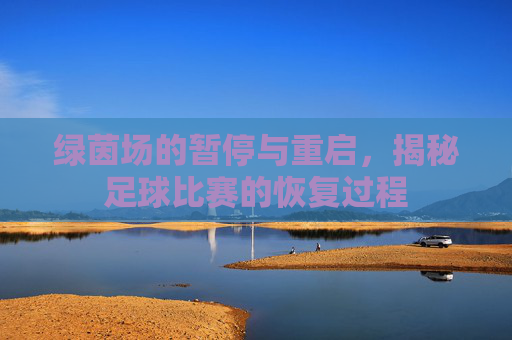绿茵场的暂停与重启，揭秘足球比赛的恢复过程
