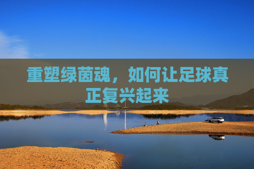 重塑绿茵魂,如何让足球真正复兴起来