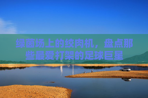 绿茵场上的绞肉机,盘点那些最爱打架的足球巨星