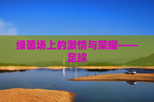 绿茵场上的激情与荣耀——足球