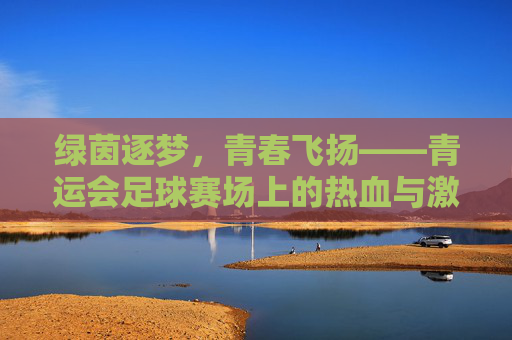 绿茵逐梦,青春飞扬——青运会足球赛场上的热血与激情