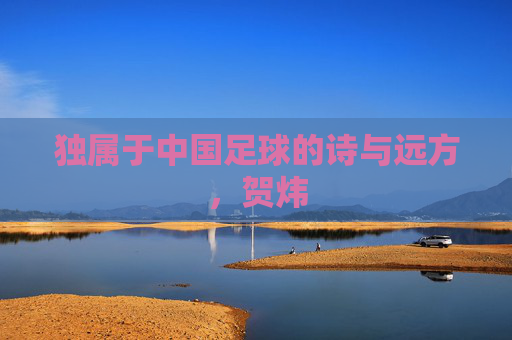 独属于中国足球的诗与远方,贺炜