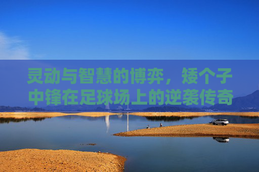 灵动与智慧的博弈,矮个子中锋在足球场上的逆袭传奇