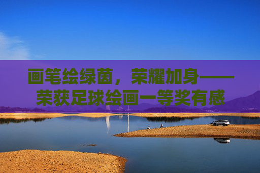 画笔绘绿茵，荣耀加身——荣获足球绘画一等奖有感