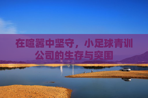 在喧嚣中坚守,小足球青训公司的生存与突围