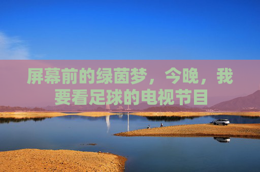 屏幕前的绿茵梦,今晚,我要看足球的电视节目