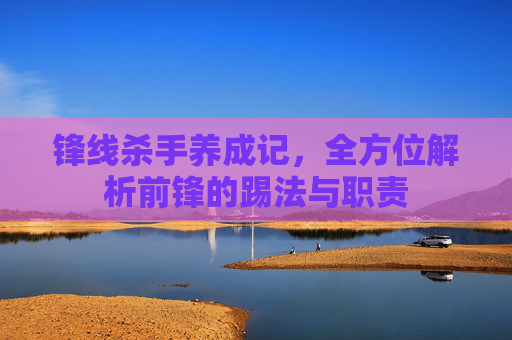 锋线杀手养成记,全方位解析前锋的踢法与职责