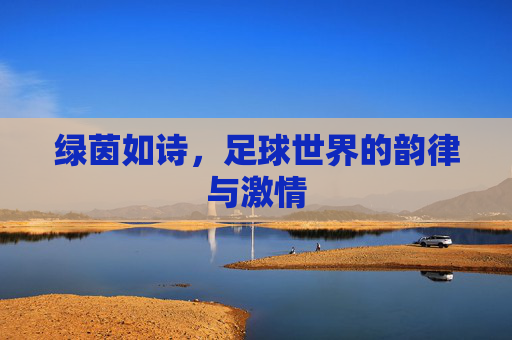 绿茵如诗,足球世界的韵律与激情
