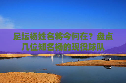 足坛杨姓名将今何在?盘点几位知名杨的现役球队