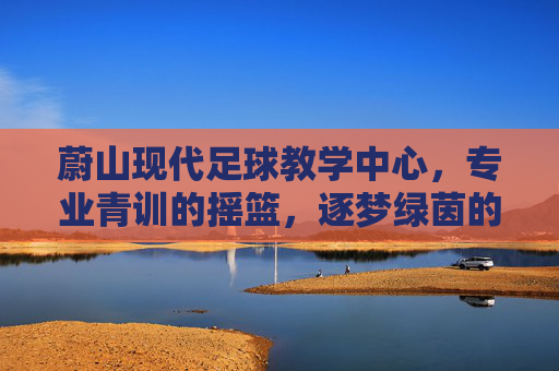 蔚山现代足球教学中心,专业青训的摇篮,逐梦绿茵的起点