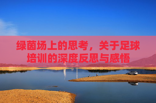 绿茵场上的思考,关于足球培训的深度反思与感悟