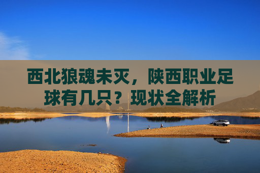 西北狼魂未灭,陕西职业足球有几只?现状全解析