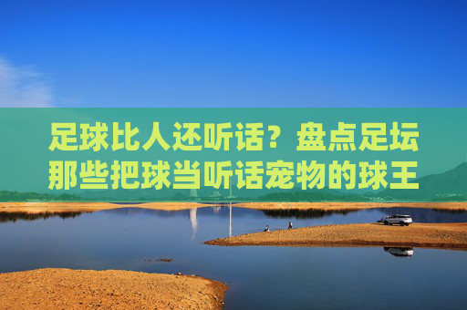 足球比人还听话?盘点足坛那些把球当听话宠物的球王级巨星
