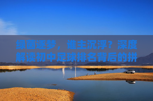绿茵逐梦，谁主沉浮？深度解读初中足球排名背后的拼搏与成长