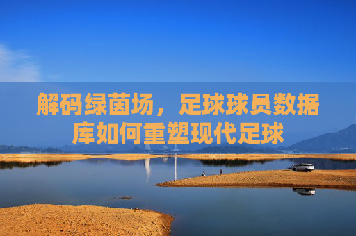 解码绿茵场,足球球员数据库如何重塑现代足球