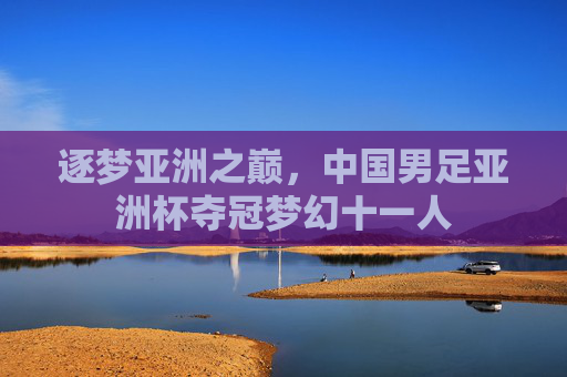 逐梦亚洲之巅,中国男足亚洲杯夺冠梦幻十一人