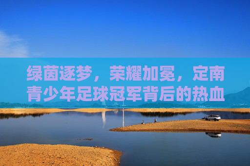 绿茵逐梦，荣耀加冕，定南青少年足球冠军背后的热血与汗水