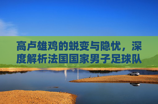 高卢雄鸡的蜕变与隐忧,深度解析法国国家男子足球队现状