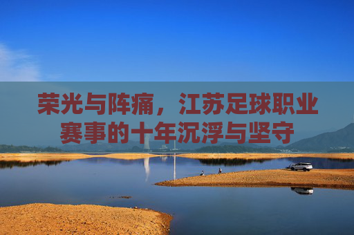 荣光与阵痛,江苏足球职业赛事的十年沉浮与坚守