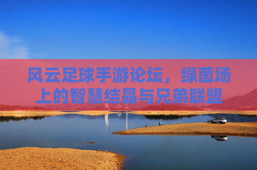 风云足球手游论坛,绿茵场上的智慧结晶与兄弟联盟