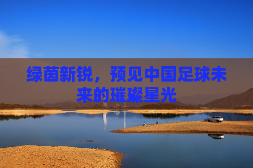 绿茵新锐,预见中国足球未来的璀璨星光