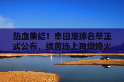 热血集结！阜田足球名单正式公布，绿茵场上再燃烽火