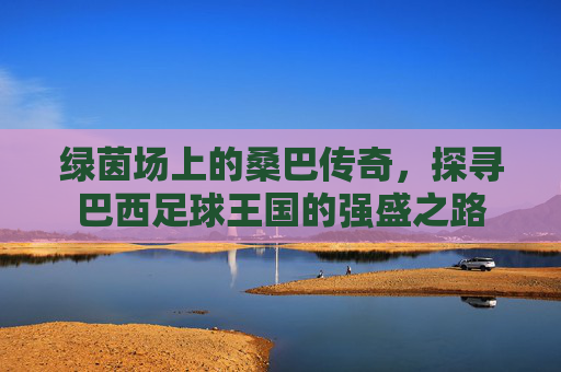 绿茵场上的桑巴传奇，探寻巴西足球王国的强盛之路