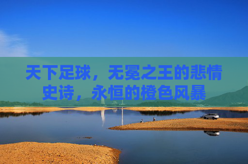 天下足球,无冕之王的悲情史诗,永恒的橙色风暴