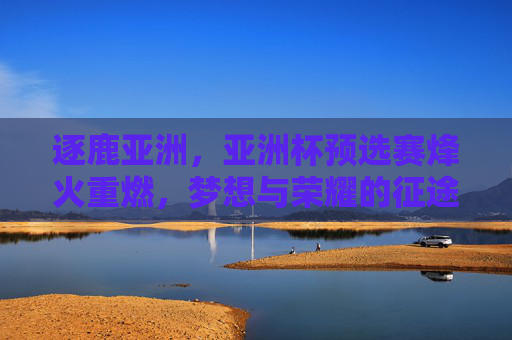 逐鹿亚洲,亚洲杯预选赛烽火重燃,梦想与荣耀的征途