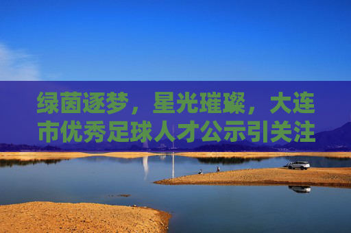 绿茵逐梦，星光璀璨，大连市优秀足球人才公示引关注