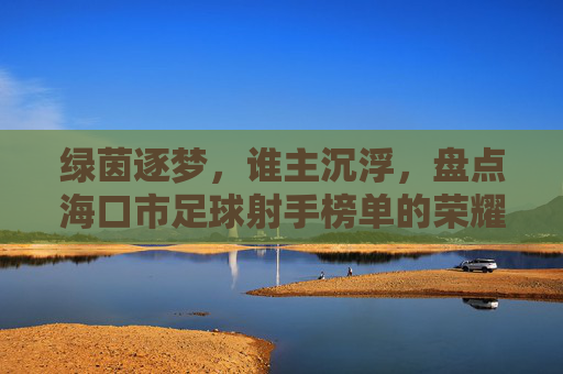绿茵逐梦，谁主沉浮，盘点海口市足球射手榜单的荣耀与梦想