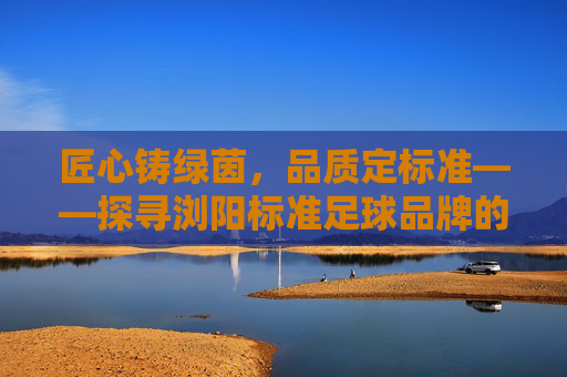 匠心铸绿茵,品质定标准——探寻浏阳标准足球品牌的崛起之路