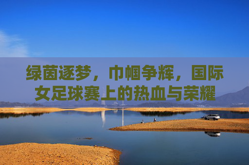 绿茵逐梦，巾帼争辉，国际女足球赛上的热血与荣耀