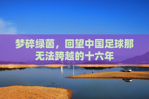 梦碎绿茵,回望中国足球那无法跨越的十六年