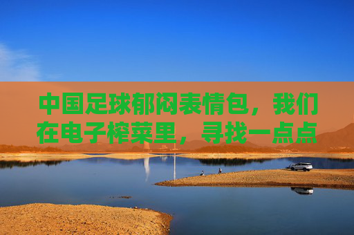中国足球郁闷表情包,我们在电子榨菜里,寻找一点点精神胜利