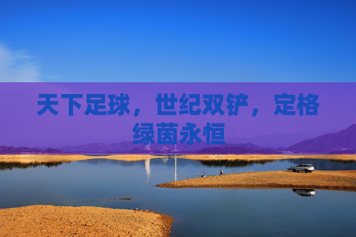 天下足球，世纪双铲，定格绿茵永恒