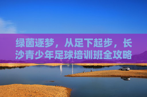 绿茵逐梦,从足下起步,长沙青少年足球培训班全攻略