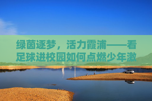 绿茵逐梦,活力霞浦——看足球进校园如何点燃少年激情