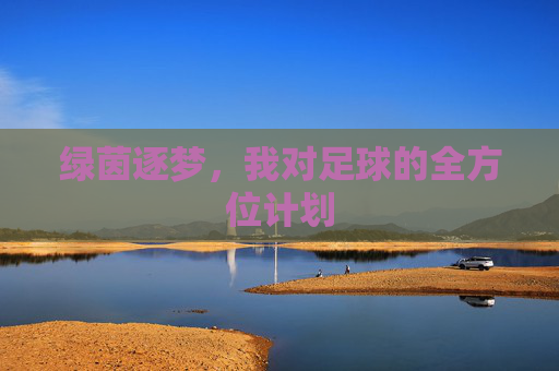 绿茵逐梦,我对足球的全方位计划